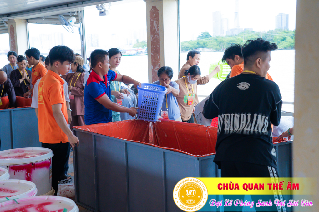 hinh-anh-phong-sanh-tai-ben-bach-dang-ngay-14-08-2023-chua-quan-the-am-duc-trong-lam-dong-97.jpg