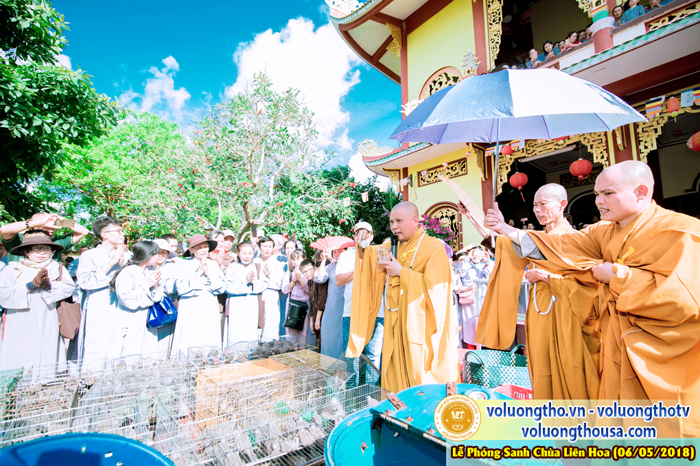 hinh-anh-phong-sanh-tai-chua-lien-hoa-bac-lieu-chua-quan-the-am-duc-trong-lam-dong-22.jpg