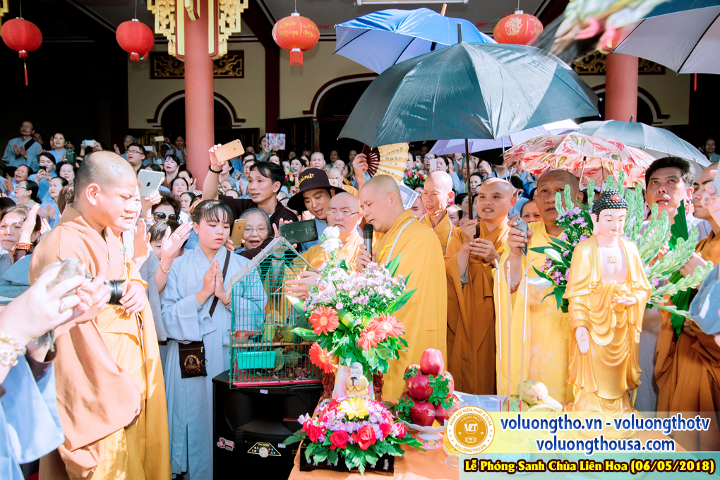 hinh-anh-phong-sanh-tai-chua-lien-hoa-bac-lieu-chua-quan-the-am-duc-trong-lam-dong-25.jpg