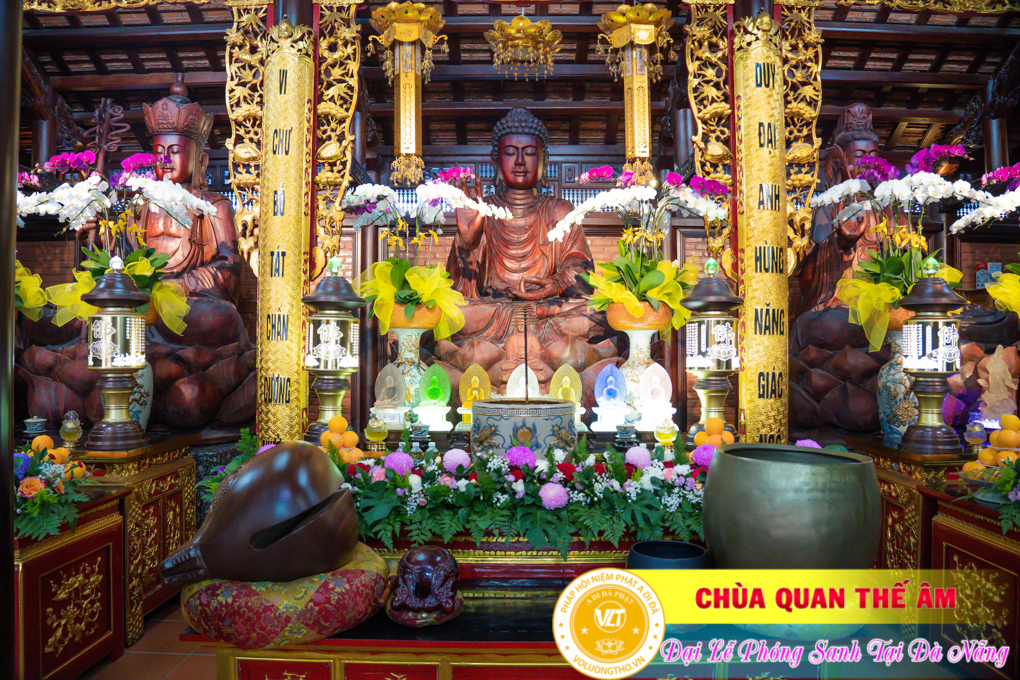 hinh-anh-phong-sanh-tai-khu-tam-linh-da-son-da-nang-lan-2-chua-quan-the-am-duc-trong-lam-dong-1.jpg
