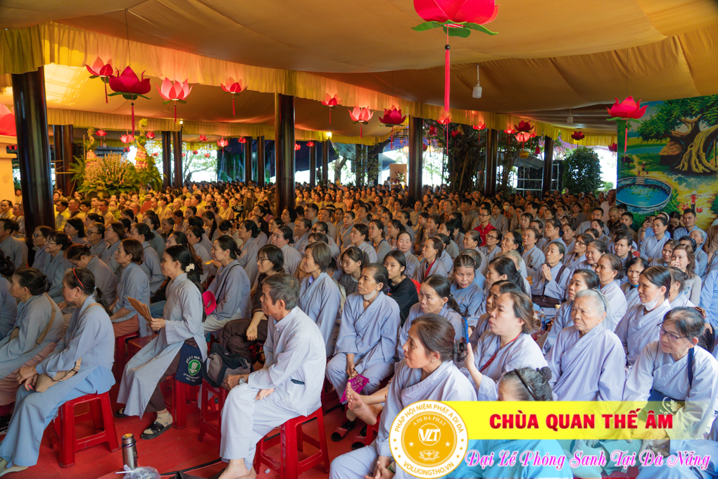hinh-anh-phong-sanh-tai-khu-tam-linh-da-son-da-nang-lan-2-chua-quan-the-am-duc-trong-lam-dong-35.jpg