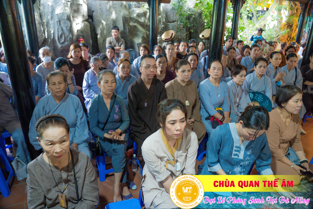 hinh-anh-phong-sanh-tai-khu-tam-linh-da-son-da-nang-lan-2-chua-quan-the-am-duc-trong-lam-dong-58.jpg