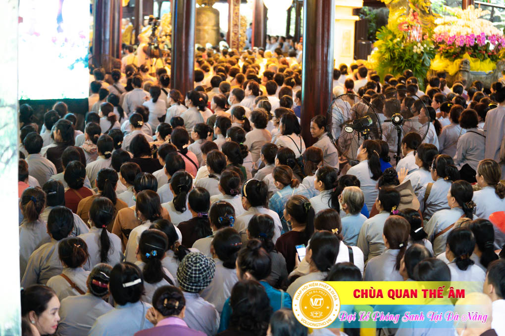 hinh-anh-phong-sanh-tai-khu-tam-linh-da-son-da-nang-lan-3-ngay-12-11-2023-chua-quan-the-am-duc-trong-lam-dong-118.jpg
