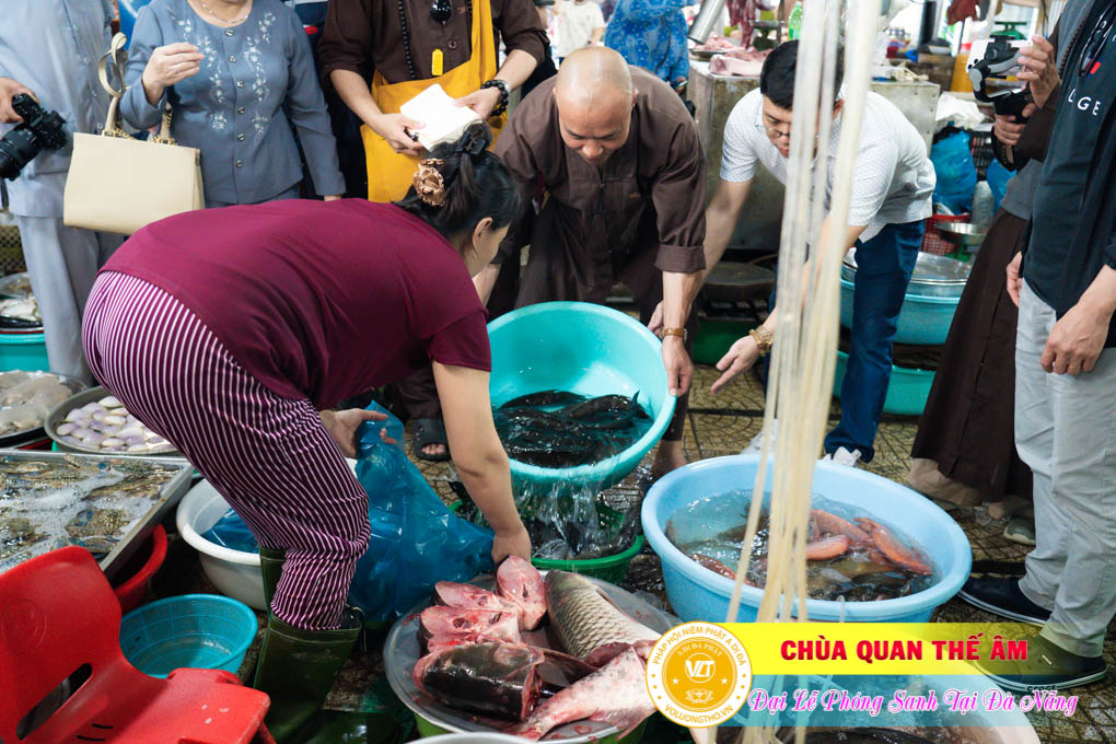 hinh-anh-phong-sanh-tai-khu-tam-linh-da-son-da-nang-lan-3-ngay-12-11-2023-chua-quan-the-am-duc-trong-lam-dong-13.jpg