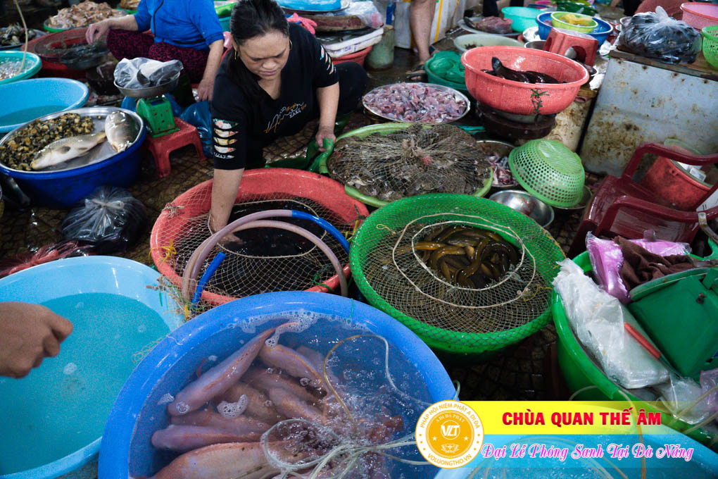 hinh-anh-phong-sanh-tai-khu-tam-linh-da-son-da-nang-lan-3-ngay-12-11-2023-chua-quan-the-am-duc-trong-lam-dong-17.jpg