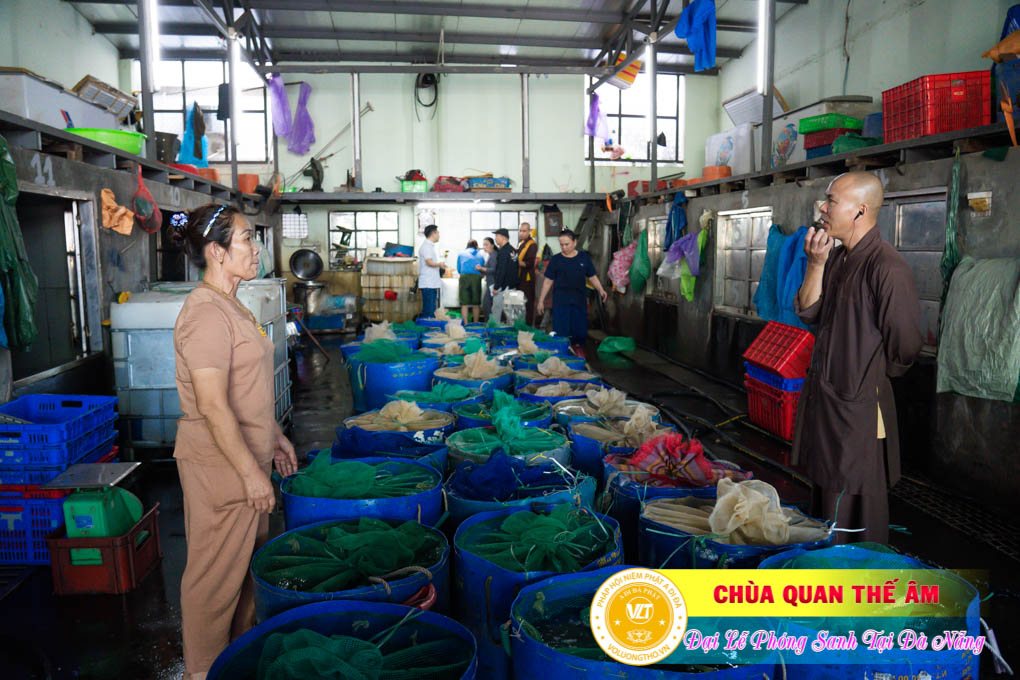 hinh-anh-phong-sanh-tai-khu-tam-linh-da-son-da-nang-lan-3-ngay-12-11-2023-chua-quan-the-am-duc-trong-lam-dong-22.jpg