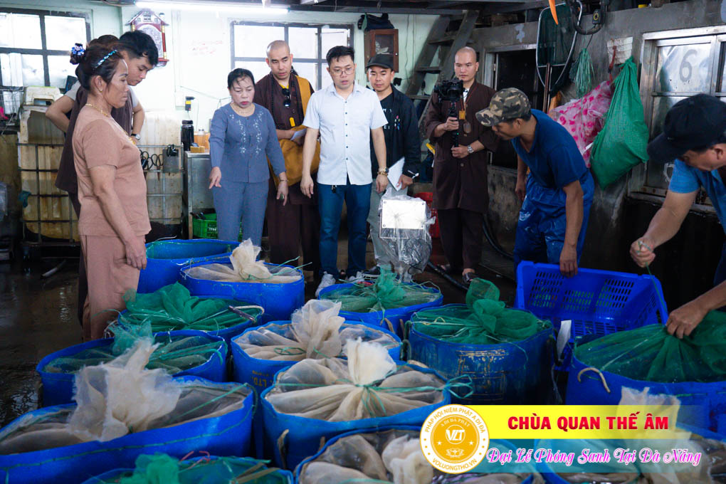 hinh-anh-phong-sanh-tai-khu-tam-linh-da-son-da-nang-lan-3-ngay-12-11-2023-chua-quan-the-am-duc-trong-lam-dong-24.jpg
