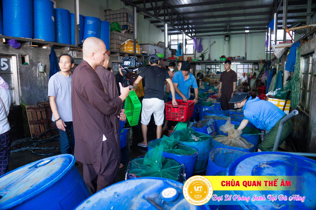 hinh-anh-phong-sanh-tai-khu-tam-linh-da-son-da-nang-lan-3-ngay-12-11-2023-chua-quan-the-am-duc-trong-lam-dong-27.jpg