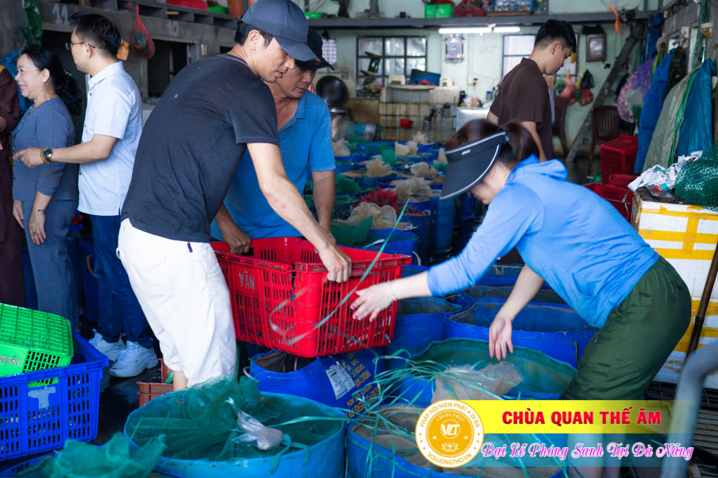 hinh-anh-phong-sanh-tai-khu-tam-linh-da-son-da-nang-lan-3-ngay-12-11-2023-chua-quan-the-am-duc-trong-lam-dong-28.jpg