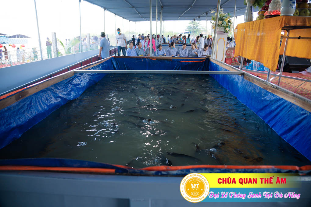 hinh-anh-phong-sanh-tai-khu-tam-linh-da-son-da-nang-lan-3-ngay-12-11-2023-chua-quan-the-am-duc-trong-lam-dong-31.jpg
