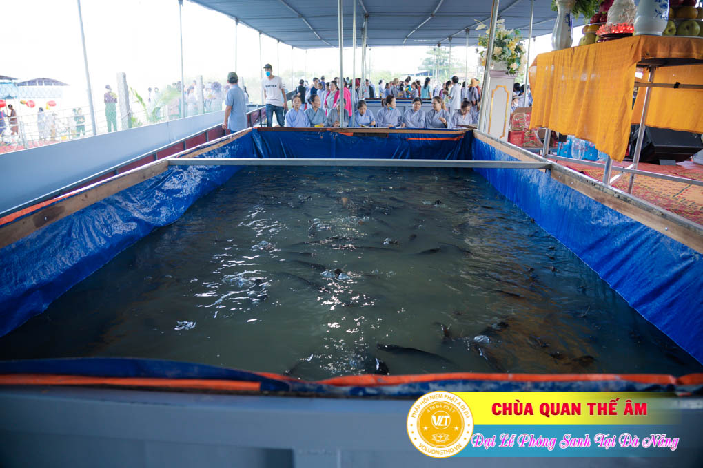hinh-anh-phong-sanh-tai-khu-tam-linh-da-son-da-nang-lan-3-ngay-12-11-2023-chua-quan-the-am-duc-trong-lam-dong-32.jpg