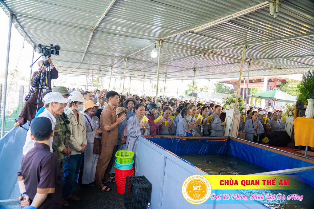 hinh-anh-phong-sanh-tai-khu-tam-linh-da-son-da-nang-lan-3-ngay-12-11-2023-chua-quan-the-am-duc-trong-lam-dong-54.jpg