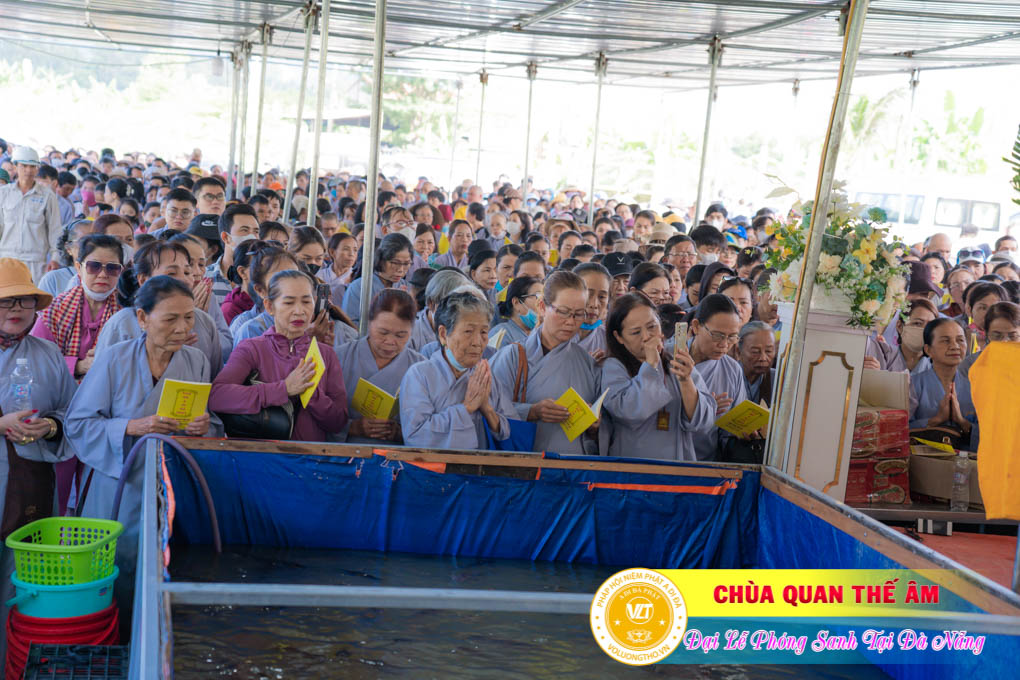 hinh-anh-phong-sanh-tai-khu-tam-linh-da-son-da-nang-lan-3-ngay-12-11-2023-chua-quan-the-am-duc-trong-lam-dong-62.jpg