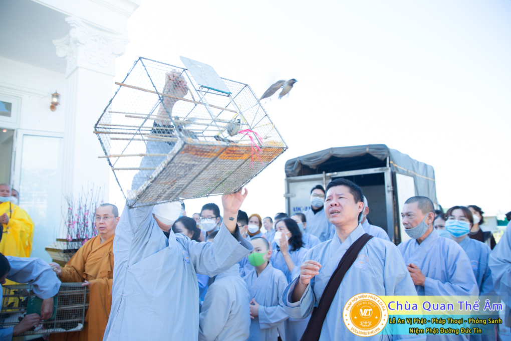 le-an-vi-phat-phap-thoai-phong-sanh-tai-niem-phat-duong-duc-tin-chua-quan-the-am-duc-trong-lam-dong-17.jpg