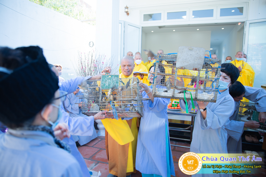 le-an-vi-phat-phap-thoai-phong-sanh-tai-niem-phat-duong-duc-tin-chua-quan-the-am-duc-trong-lam-dong-18.jpg