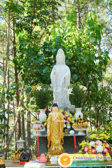 le-phong-sanh-va-cung-thi-thuc-tai-benh-vien-hoan-my-tp-da-lat-chua-quan-the-am-duc-trong-lam-dong-14.jpg