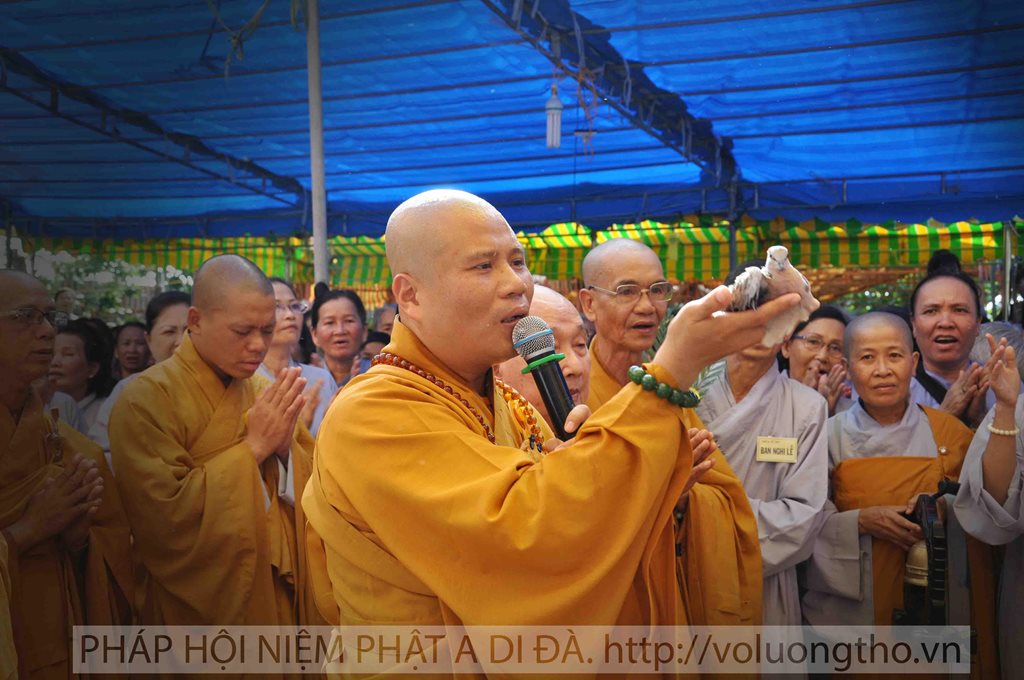 phong-sanh-tai-chua-tu-an-tien-giang-chua-quan-the-am-duc-trong-lam-dong-6.jpg