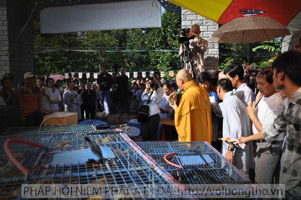 phong-sanh-tai-chua-tu-an-tien-giang-chua-quan-the-am-duc-trong-lam-dong-7.jpg
