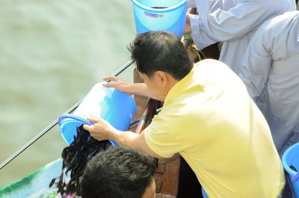 phong-sanh-tren-song-bach-dang-26-01-2014-chua-quan-the-am-duc-trong-lam-dong-10.jpg