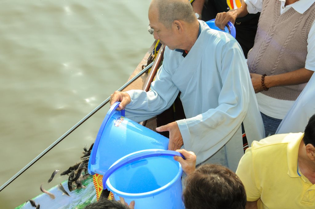 phong-sanh-tren-song-bach-dang-26-01-2014-chua-quan-the-am-duc-trong-lam-dong-4.jpg