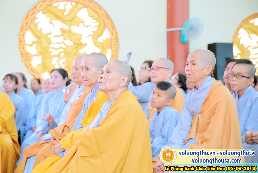 to-chuc-phong-sanh-tai-chua-lien-hoa-bac-lieu-ngay-3-6-2018-chua-quan-the-am-duc-trong-lam-dong-112.jpg