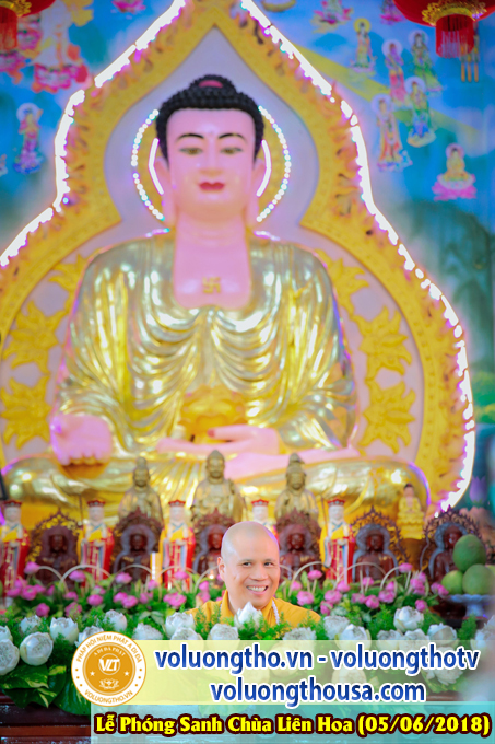 to-chuc-phong-sanh-tai-chua-lien-hoa-bac-lieu-ngay-3-6-2018-chua-quan-the-am-duc-trong-lam-dong-122.jpg