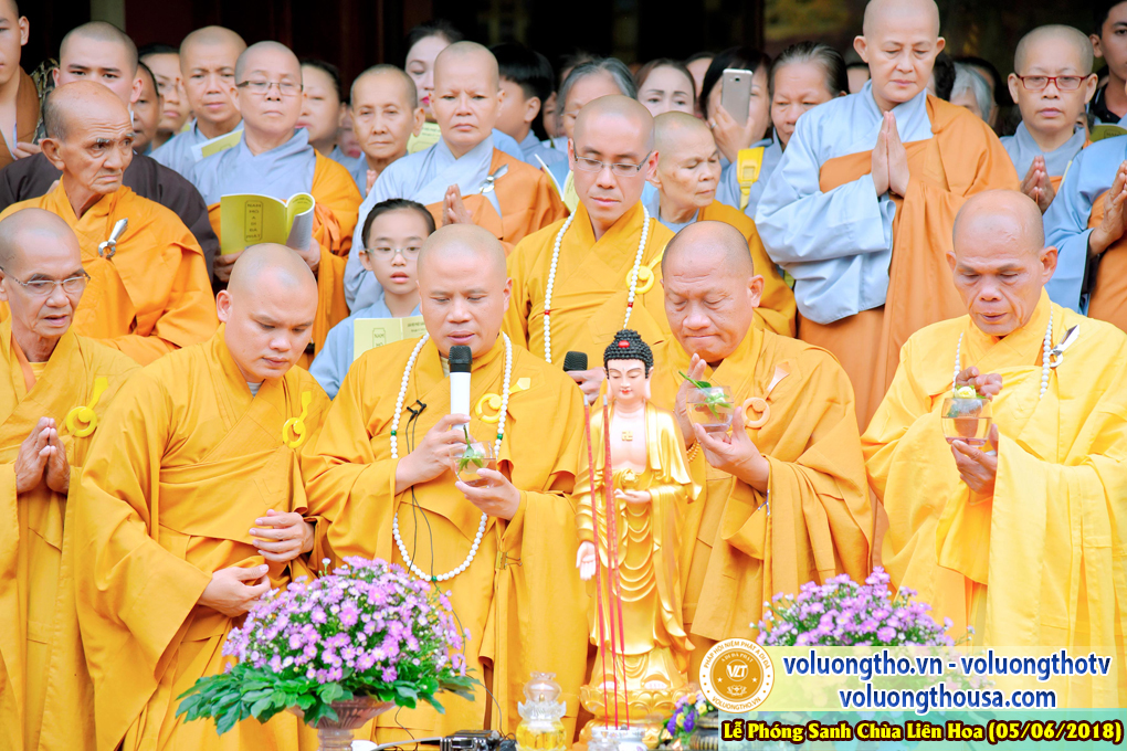 to-chuc-phong-sanh-tai-chua-lien-hoa-bac-lieu-ngay-3-6-2018-chua-quan-the-am-duc-trong-lam-dong-14.jpg