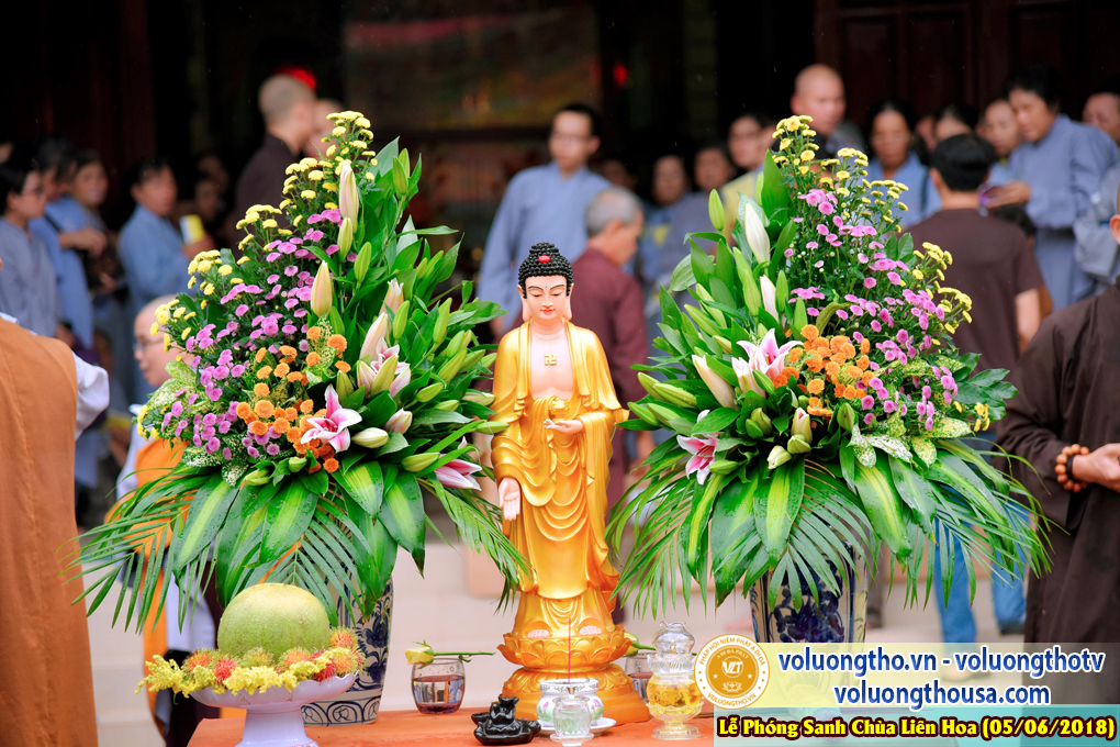 to-chuc-phong-sanh-tai-chua-lien-hoa-bac-lieu-ngay-3-6-2018-chua-quan-the-am-duc-trong-lam-dong-148.jpg