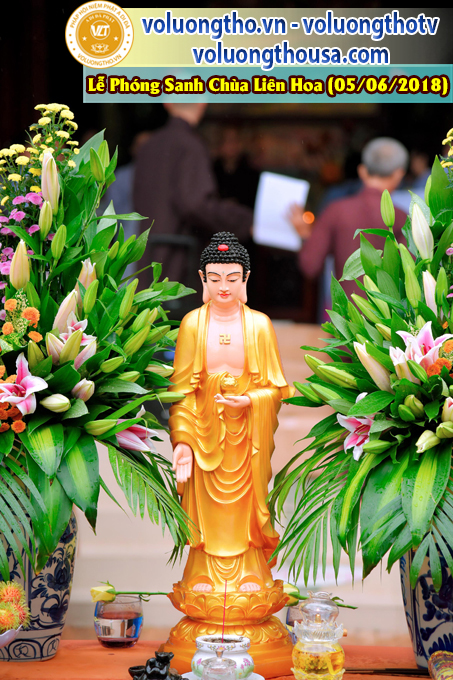 to-chuc-phong-sanh-tai-chua-lien-hoa-bac-lieu-ngay-3-6-2018-chua-quan-the-am-duc-trong-lam-dong-149.jpg