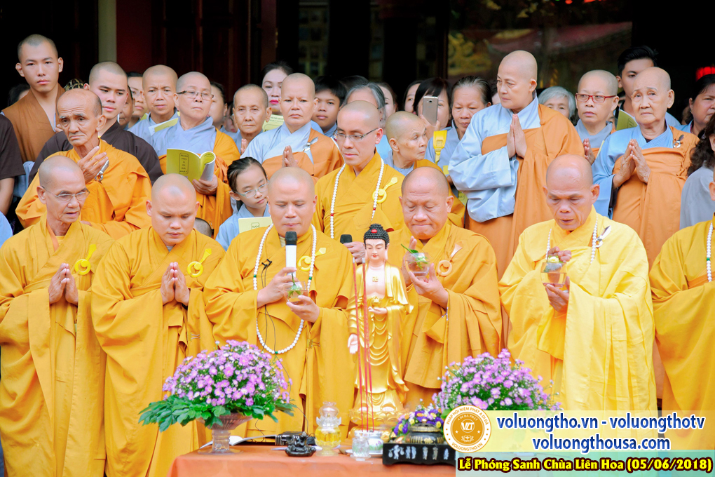 to-chuc-phong-sanh-tai-chua-lien-hoa-bac-lieu-ngay-3-6-2018-chua-quan-the-am-duc-trong-lam-dong-15.jpg