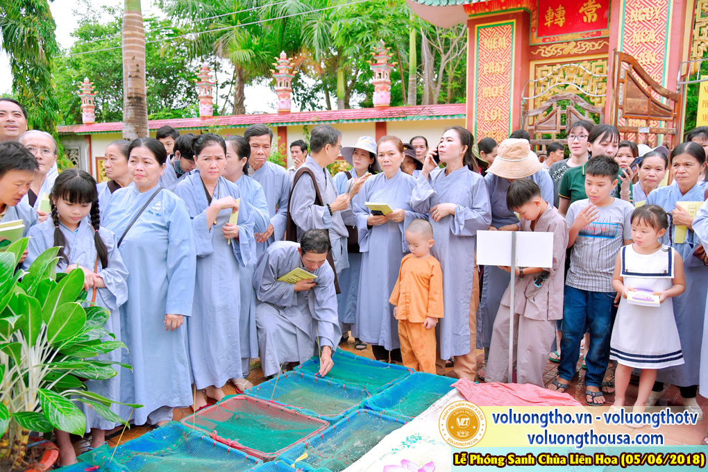 to-chuc-phong-sanh-tai-chua-lien-hoa-bac-lieu-ngay-3-6-2018-chua-quan-the-am-duc-trong-lam-dong-151.jpg