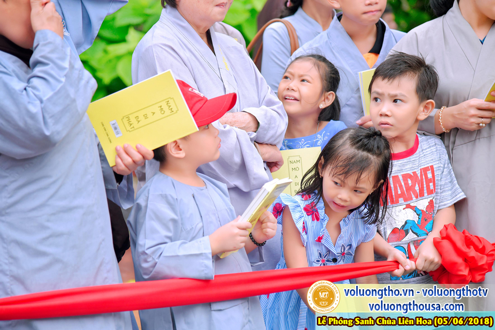 to-chuc-phong-sanh-tai-chua-lien-hoa-bac-lieu-ngay-3-6-2018-chua-quan-the-am-duc-trong-lam-dong-154.jpg