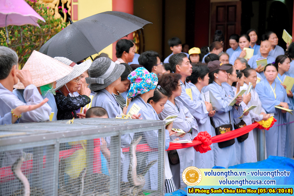 to-chuc-phong-sanh-tai-chua-lien-hoa-bac-lieu-ngay-3-6-2018-chua-quan-the-am-duc-trong-lam-dong-156.jpg