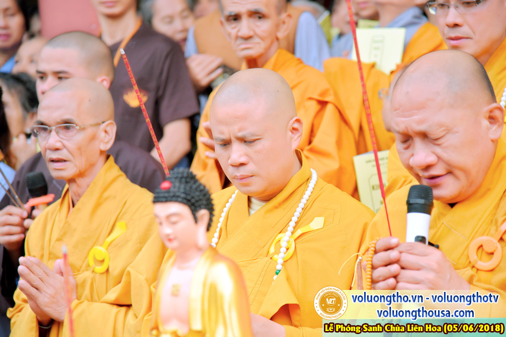 to-chuc-phong-sanh-tai-chua-lien-hoa-bac-lieu-ngay-3-6-2018-chua-quan-the-am-duc-trong-lam-dong-171.jpg