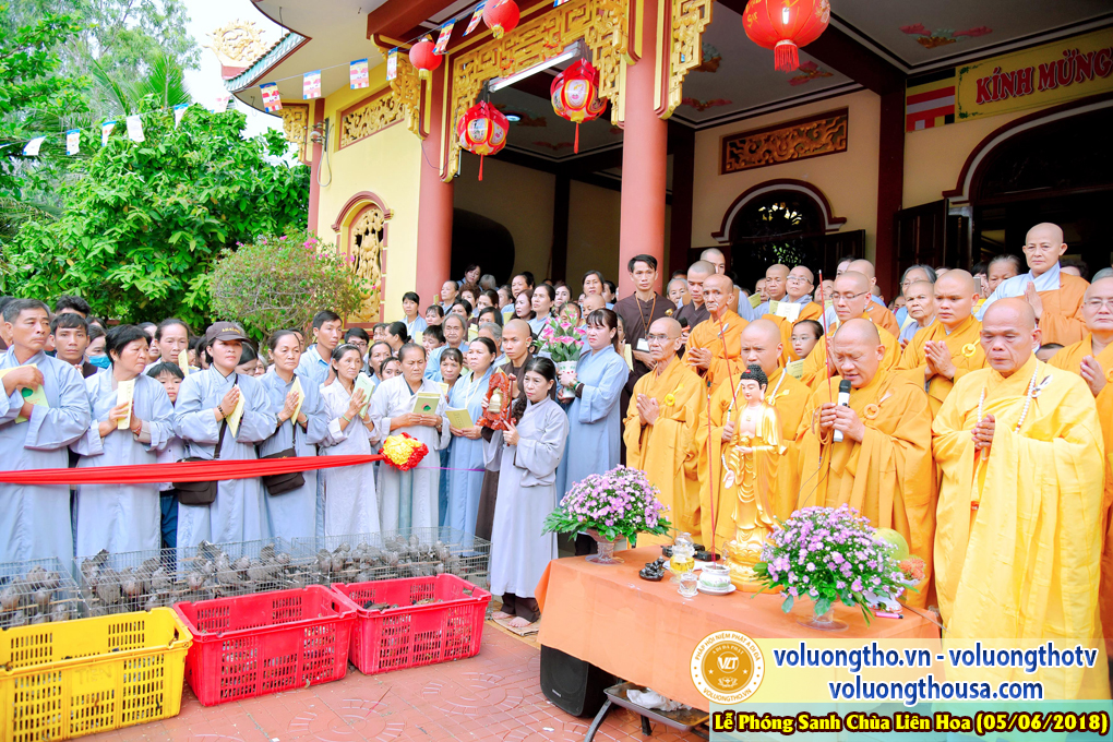 to-chuc-phong-sanh-tai-chua-lien-hoa-bac-lieu-ngay-3-6-2018-chua-quan-the-am-duc-trong-lam-dong-173.jpg