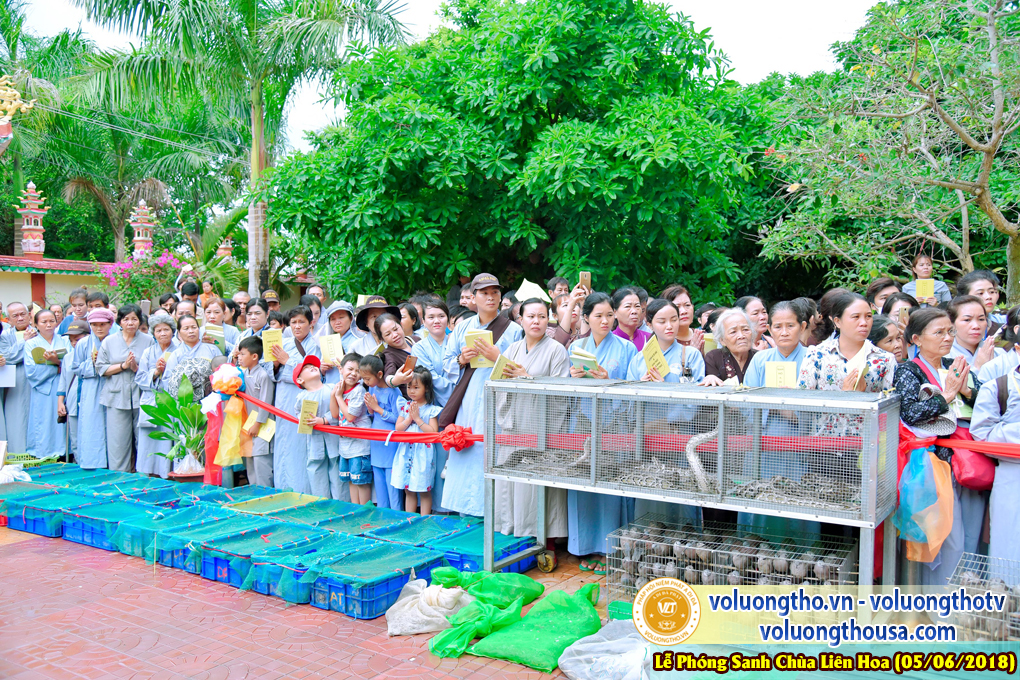 to-chuc-phong-sanh-tai-chua-lien-hoa-bac-lieu-ngay-3-6-2018-chua-quan-the-am-duc-trong-lam-dong-176.jpg