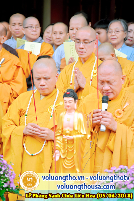 to-chuc-phong-sanh-tai-chua-lien-hoa-bac-lieu-ngay-3-6-2018-chua-quan-the-am-duc-trong-lam-dong-177.jpg