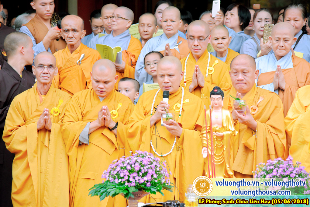 to-chuc-phong-sanh-tai-chua-lien-hoa-bac-lieu-ngay-3-6-2018-chua-quan-the-am-duc-trong-lam-dong-18.jpg