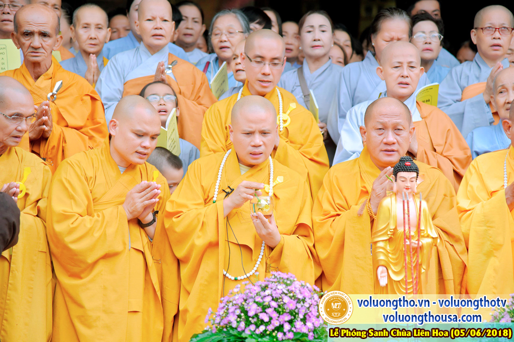 to-chuc-phong-sanh-tai-chua-lien-hoa-bac-lieu-ngay-3-6-2018-chua-quan-the-am-duc-trong-lam-dong-19.jpg