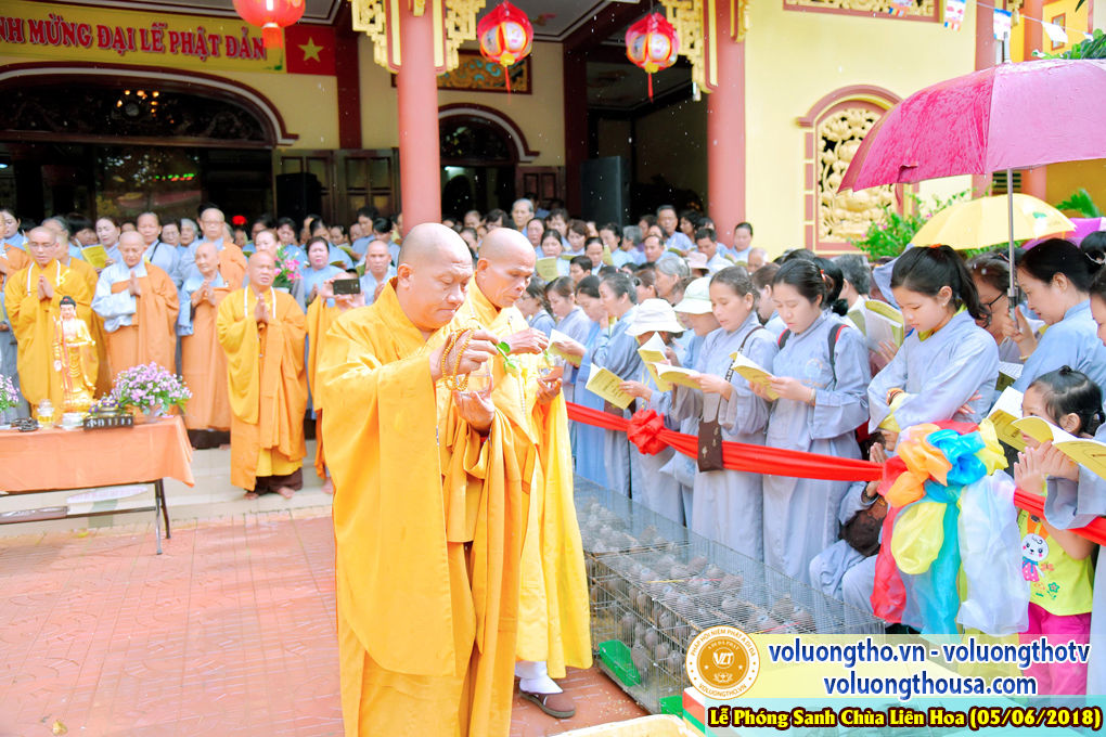 to-chuc-phong-sanh-tai-chua-lien-hoa-bac-lieu-ngay-3-6-2018-chua-quan-the-am-duc-trong-lam-dong-23.jpg