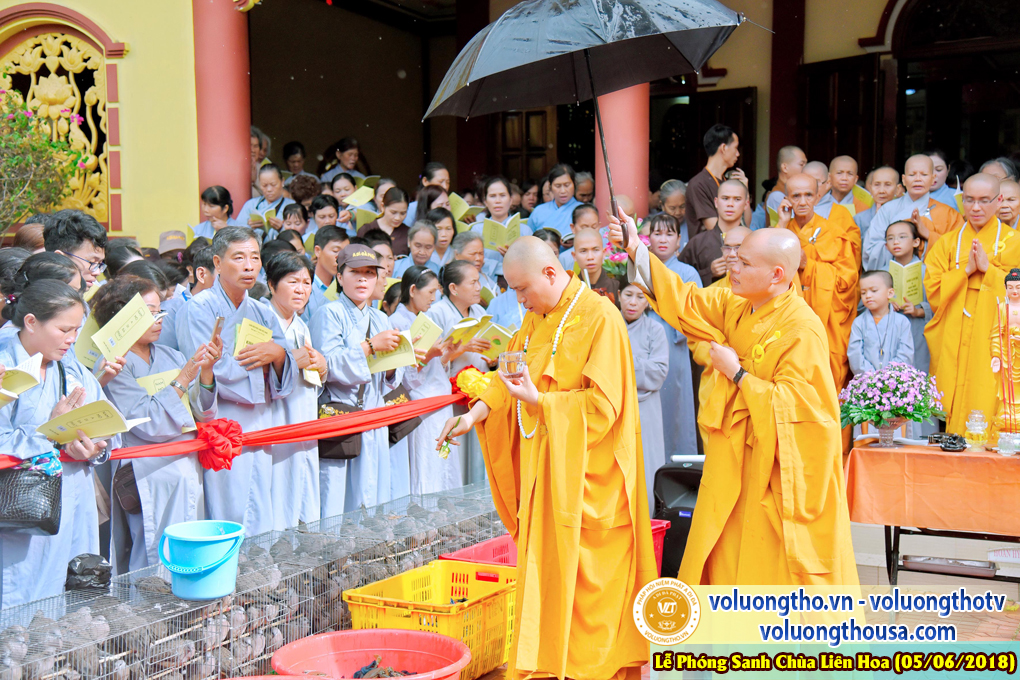 to-chuc-phong-sanh-tai-chua-lien-hoa-bac-lieu-ngay-3-6-2018-chua-quan-the-am-duc-trong-lam-dong-24.jpg