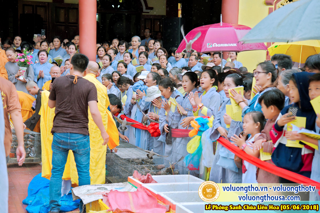 to-chuc-phong-sanh-tai-chua-lien-hoa-bac-lieu-ngay-3-6-2018-chua-quan-the-am-duc-trong-lam-dong-32.jpg