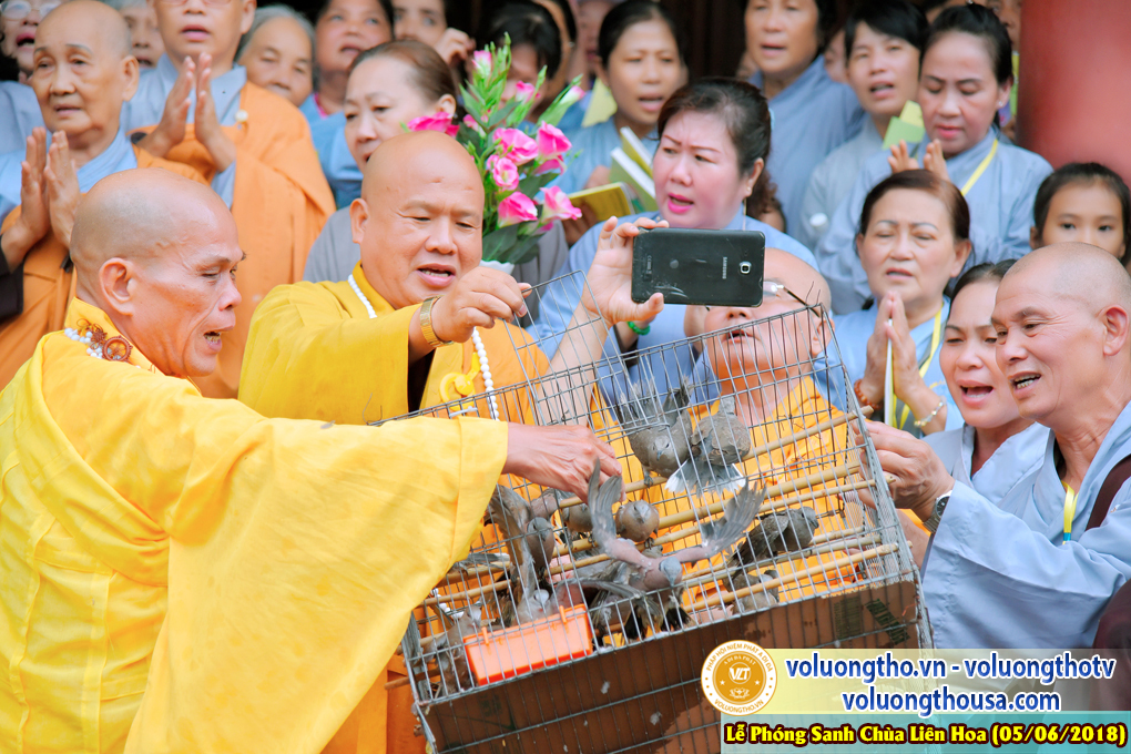 to-chuc-phong-sanh-tai-chua-lien-hoa-bac-lieu-ngay-3-6-2018-chua-quan-the-am-duc-trong-lam-dong-39.jpg