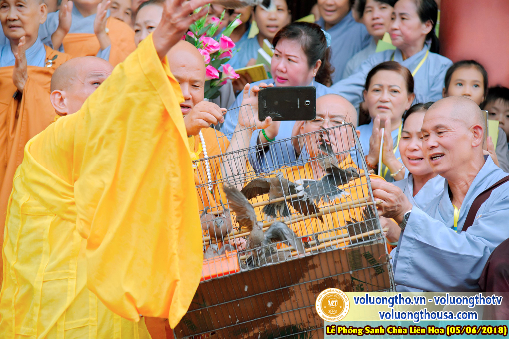 to-chuc-phong-sanh-tai-chua-lien-hoa-bac-lieu-ngay-3-6-2018-chua-quan-the-am-duc-trong-lam-dong-40.jpg