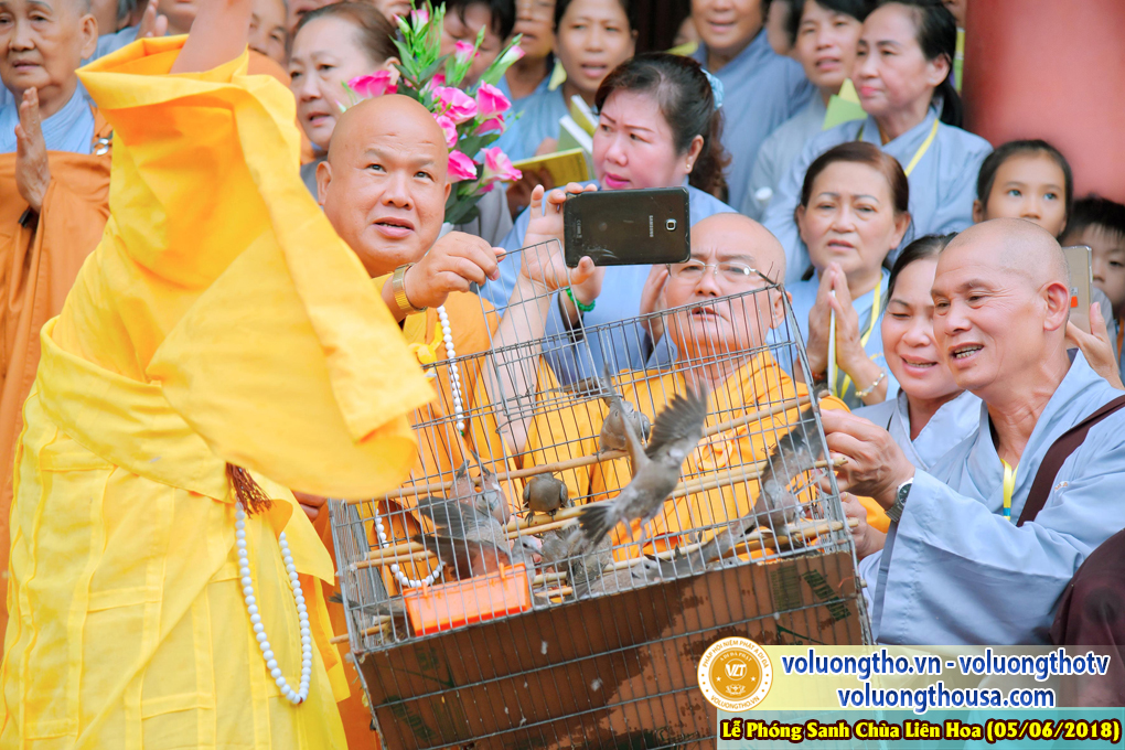 to-chuc-phong-sanh-tai-chua-lien-hoa-bac-lieu-ngay-3-6-2018-chua-quan-the-am-duc-trong-lam-dong-41.jpg