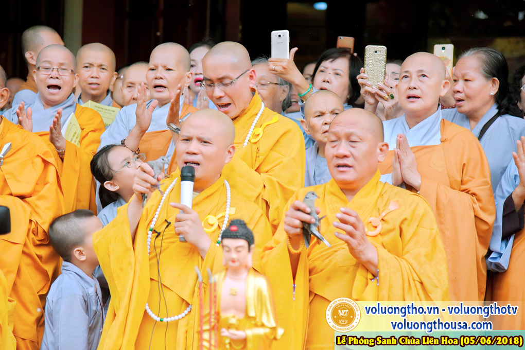 to-chuc-phong-sanh-tai-chua-lien-hoa-bac-lieu-ngay-3-6-2018-chua-quan-the-am-duc-trong-lam-dong-42.jpg