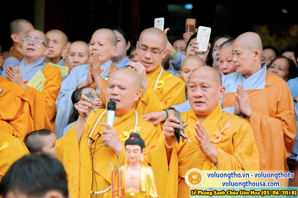 to-chuc-phong-sanh-tai-chua-lien-hoa-bac-lieu-ngay-3-6-2018-chua-quan-the-am-duc-trong-lam-dong-43.jpg