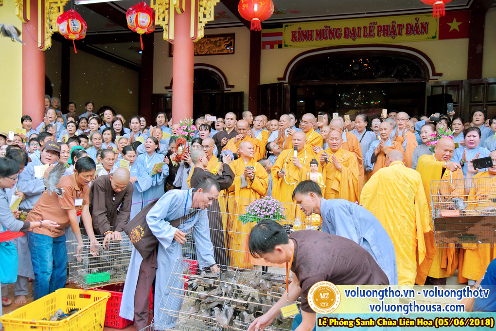 to-chuc-phong-sanh-tai-chua-lien-hoa-bac-lieu-ngay-3-6-2018-chua-quan-the-am-duc-trong-lam-dong-45.jpg