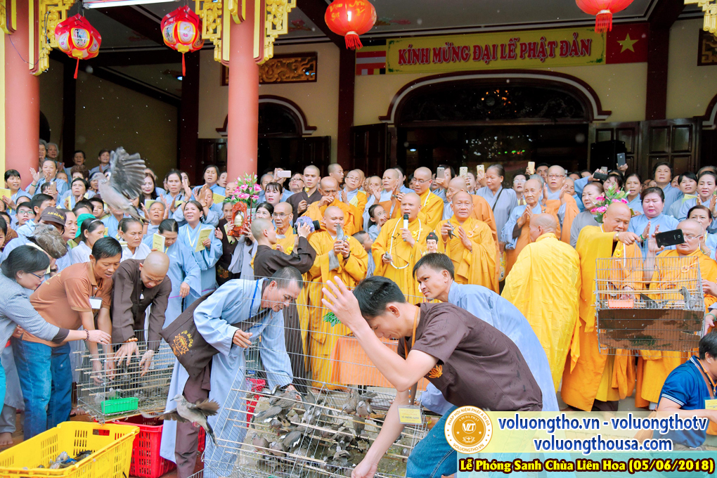 to-chuc-phong-sanh-tai-chua-lien-hoa-bac-lieu-ngay-3-6-2018-chua-quan-the-am-duc-trong-lam-dong-46.jpg