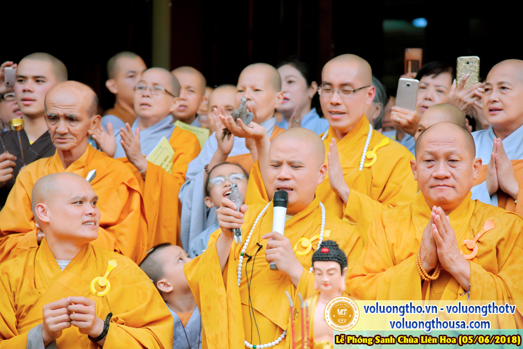 to-chuc-phong-sanh-tai-chua-lien-hoa-bac-lieu-ngay-3-6-2018-chua-quan-the-am-duc-trong-lam-dong-48.jpg